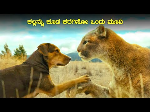A Dog's way home movie explained in kannada | dubbed kannada movie story explained review