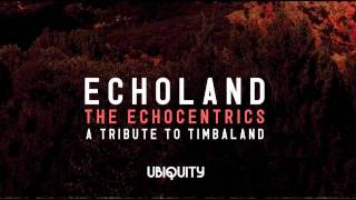 The Echocentrics - "We Need A Resolution" (Echoland: A Tribute To Timbaland)