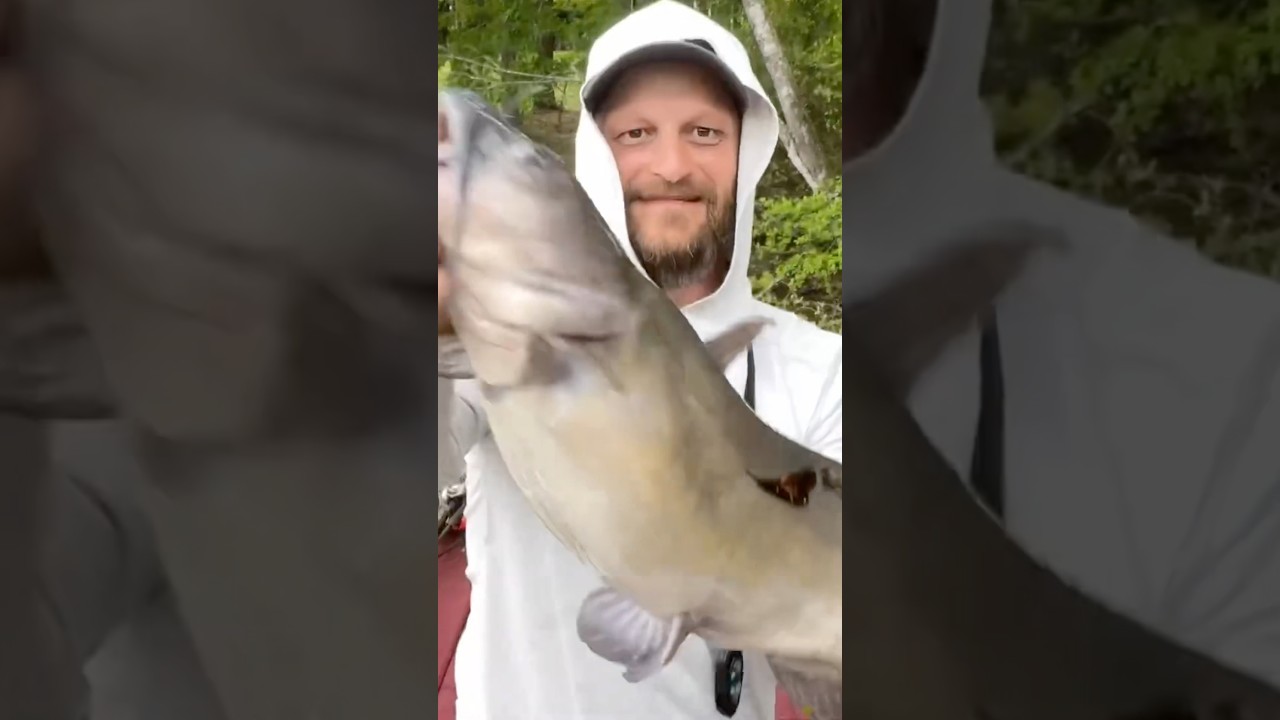 I KNEW I’d Get One!! 🤷‍♂️