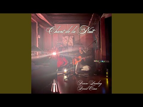 Seres Vivos da Floresta