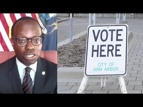 Michigan's deputy secretary of state talks election security as Senate race heats up