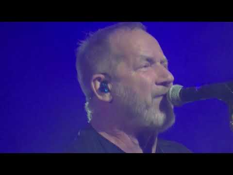 David Koller-Aha(Forum Karlín 4.12.2024)