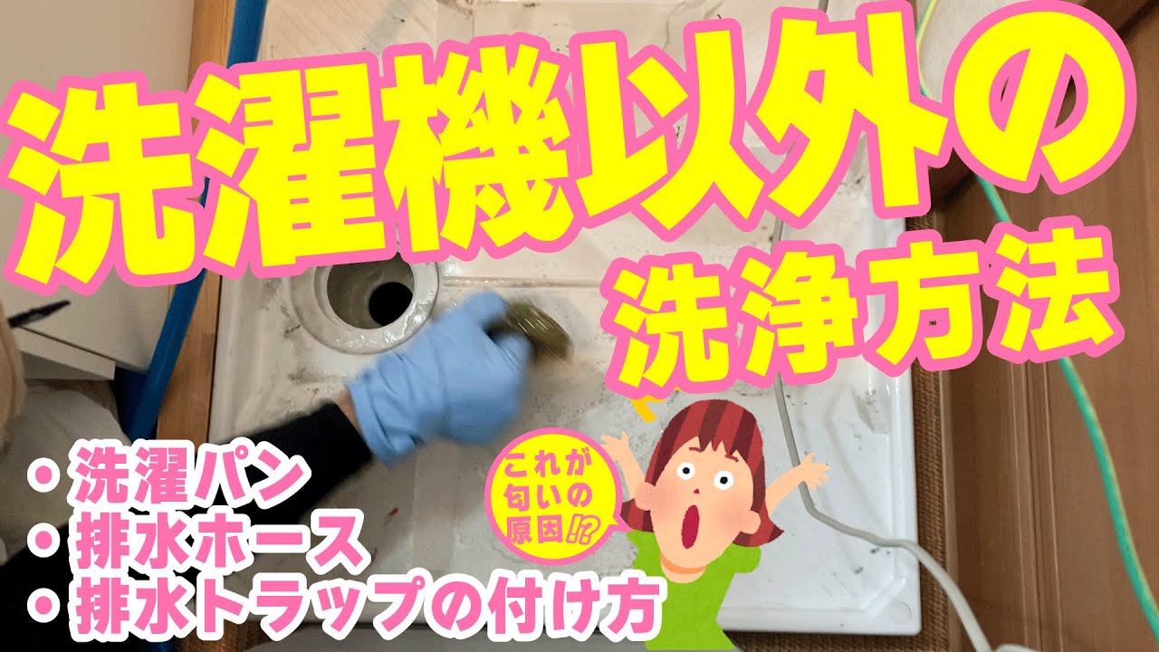 匂いの原因はこれ！？排水ホースや洗濯パン、排水トラップのお手入れ方法をご紹介！！