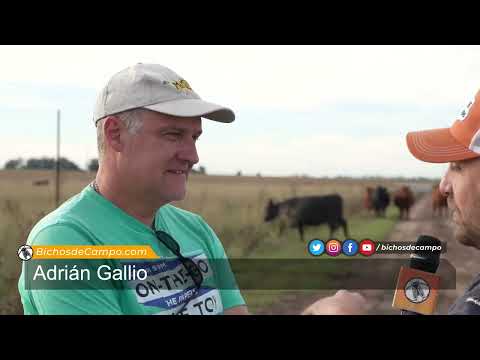 Adrián Gallio, productor mixto en Mauricio Mayer, La Pampa