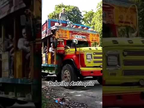 Buses escaleras Dabeiba Antioquia