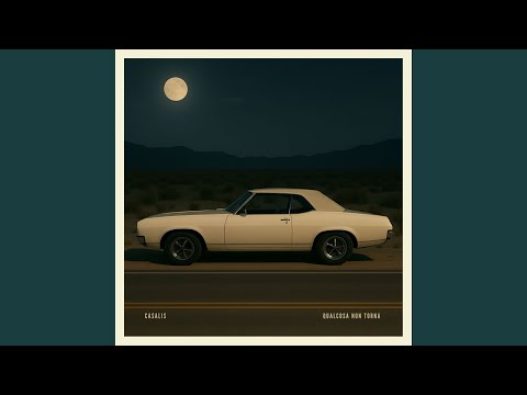 Qualcosa non torna (acoustic Version)