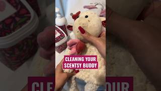 How To Clean Your Scentsy Buddy 🧺 The Washing Machine Method #scentsybuddy #scentsy