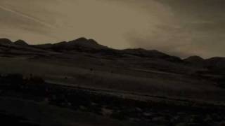 Tiger King by British Sea Power