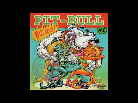 2001 CD Disco Dance Vol. 06 Pit Bull Bolado Vol.01    ⬇Download na Descrição⬇