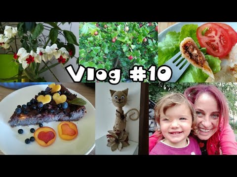 Vlog #10 - kozí zastavení, zahrádka, cuketový koláč aj.