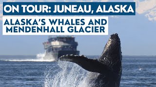 WHALES and GLACIERS in 1 day!? Check out this JUNEAU Cruise Excursion