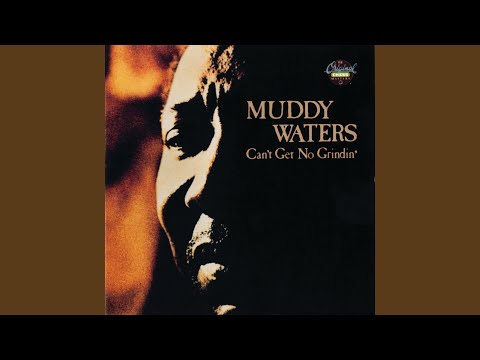Garbage Man - Muddy Waters