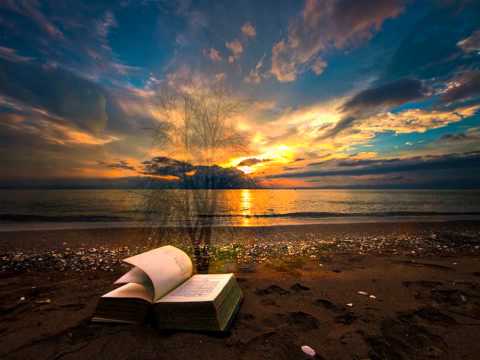 Piet Veerman-Ticket To Heaven...