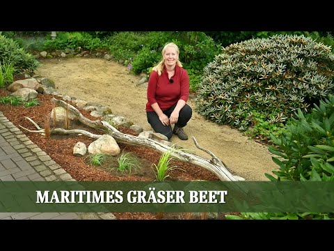 Maritimes Gräserbeet - Wie legt man ein Beet aus Gräsern richtig an?