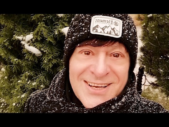 Виктор Королёв - А На Ветках Снегири (Remix Stems)