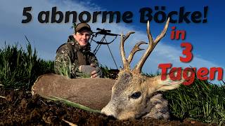 5 abnorme Böcke in Ungarn! - Hunter Brothers
