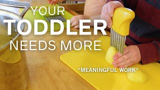 Montessori at Home: Practical Activities for Toddlers