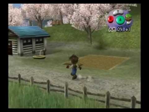 harvest moon a wonderful life gamecube rom