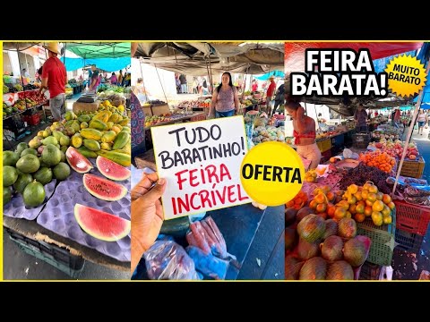 Fui na Feira Livre de Missão Velha (Ceará) e me espantei com os preços 31 de agosto de 2026