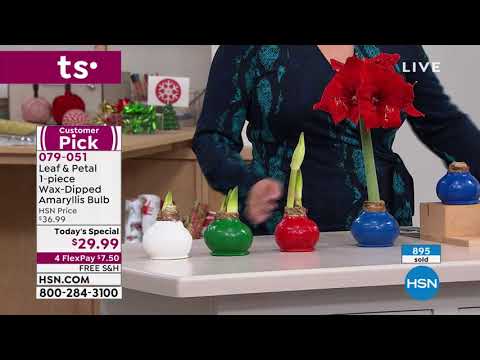 HSN | Holiday Decorating & Gift Giving 10.27.2021 - 12 AM