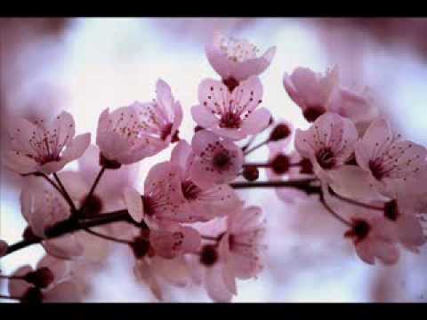 Sung Si Kyung _ One Love