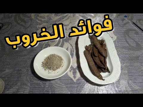 فوائد الخروب على الصحة   شرح مفصل بالدارجة