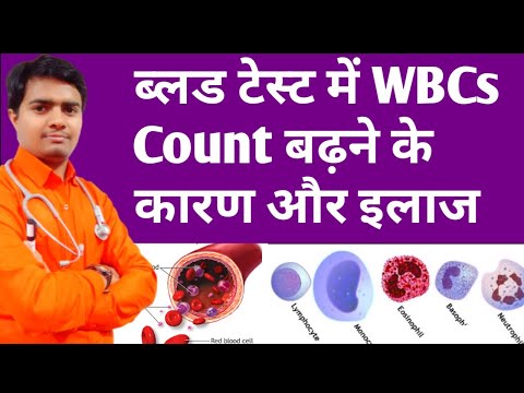 High Wbcs Count In Blood | ब्लड में WBCs बढ़ने के कारण और इलाज | High Wbc Count Treatment In Hindi