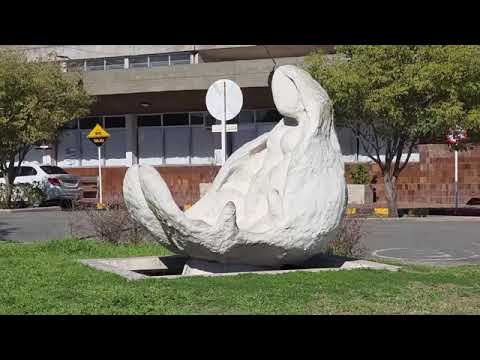 Waldo Vela, Director de Obras de la Intendencia de Río Negro 