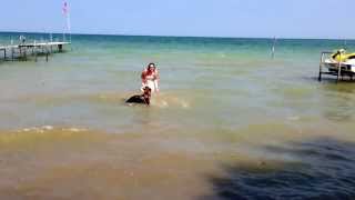 preview picture of video 'Irish and Shannon swimming in Lake Huron'