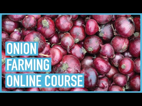 Profitable Pig Farming and Best Practices for success Course Outline