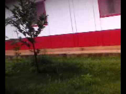 alogamento da mip montcalm no salobo