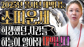 [2025년 미리보는 을사년 소띠운세] 드디어 때가 왔다! 내년 소띠에게 엄청난 기회와 변화가 찾아와 대박난다! 금전,재물운 대박이다 61년생 73년생 85년생 97년생 운세