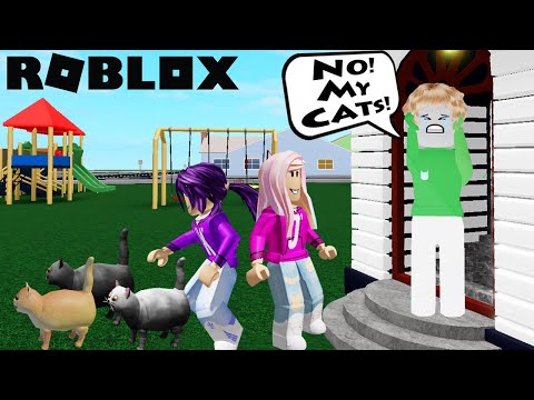 We helped Cat Lady find her lost kittens! ???? | Roblox