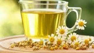 Best Teas For FAST Weight Loss Under $10