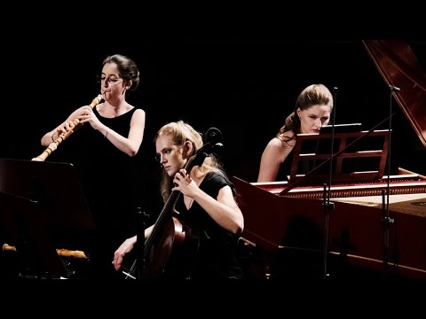F. Couperin - Sixiéme concert: Allemande a 4. Tems Légers (Les goûts-réünis) - La reine danse
