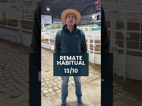 Remate habitual 13/10/2026