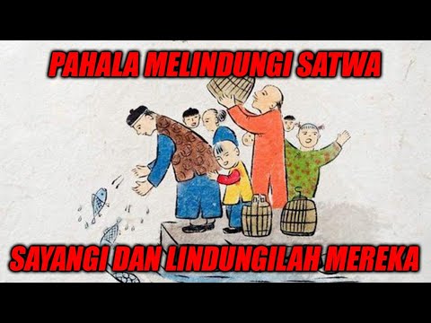PAHALA MELINDUNGI SATWA‼️SAYANGI DAN LINDUNGILAH MEREKA SEPERTI ANDA MELINDUNGI DIRI SENDIRI❗
