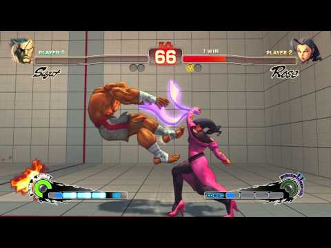 Dreamhack Winter 2013 MoneyMatch - Ryan Hart (sagat) vs Luffy (rose) FT3 - SSFIVAE