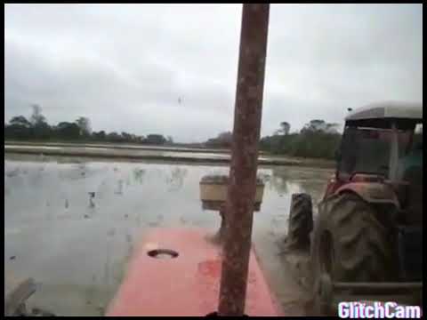 Filho Pródigo video