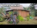 Simple Life in the Philippines | Buhay Bukid