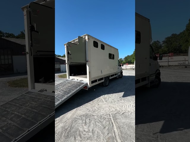 Renault Mascott &ndash; B&eacute;taill&egrave;re Chevaux (2 places)