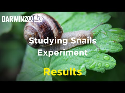 RESULTS - Studying Snaiils Experiment (Segment from World's Most Exciting Classroom Episode 8)