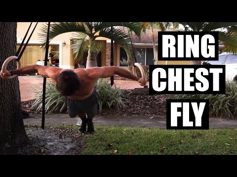bodyweight flyes