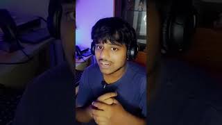 cheap and best adult dog food