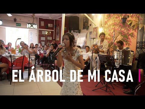 El árbol de mi casa - Carmencita Lara | Luhana Sofía