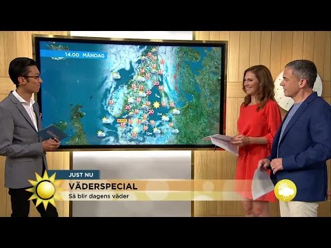 Dagens solstråle - här skiner solen i dag! - Nyhetsmorgon (TV4)