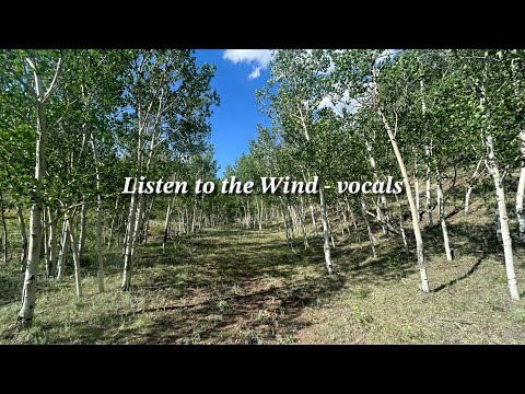 Listen to the Wind by David Waggoner - vocals with lyrics