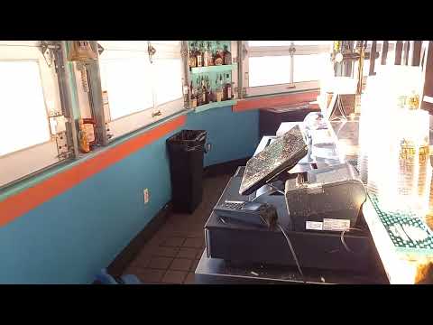 Bar Heavily Infested with Fruit Flies in Morganville, NJ