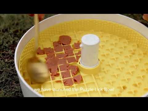 PUZZLE FEEDER - A Eating Habit Changing Device for Your Dog