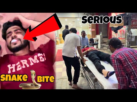 Help ! Saanp ne kaat liya 😨 serious 🙏